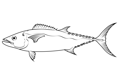 Dogtooth Tuna (Gymnosarda Unicolor) Coloring Page